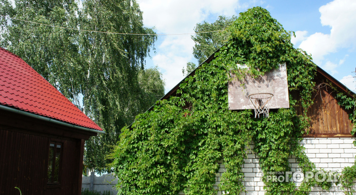Штрафы для дачников: за что и сколько