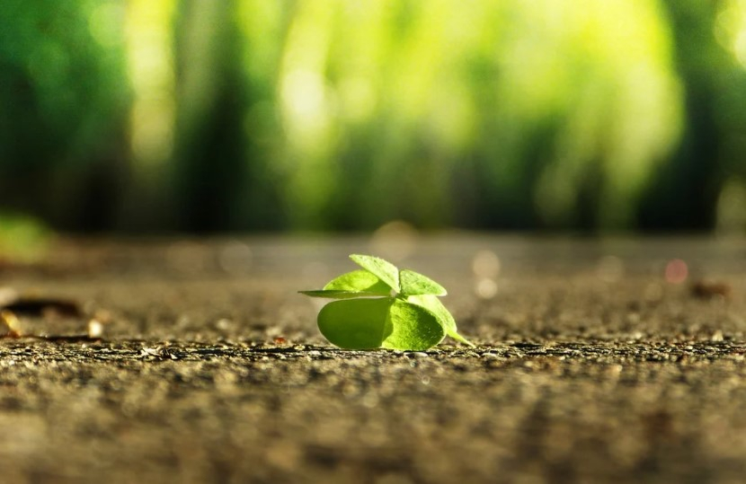 Избавьтесь немедленно: названы вещи, которые отпугивают удачу от знаков Зодиака