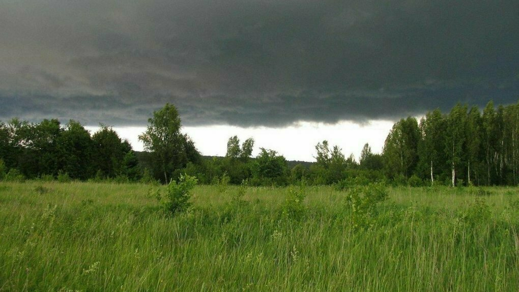 Снова холода: синоптики дали прогноз на предстоящую неделю в Коми