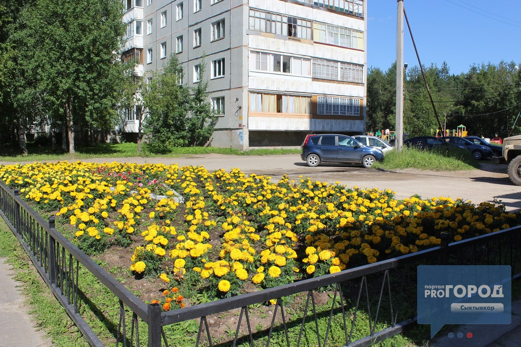 Погода в Сыктывкаре на 11 июня: жара возвращается