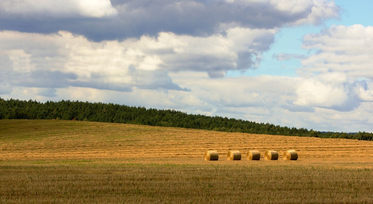 +19 и без осадков: погода в Сыктывкаре на 18 июня
