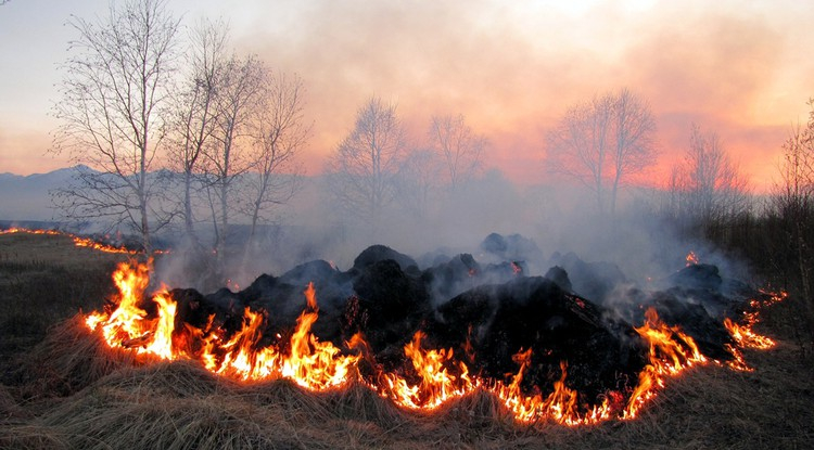 В Коми объявлена максимальная пожароопасность