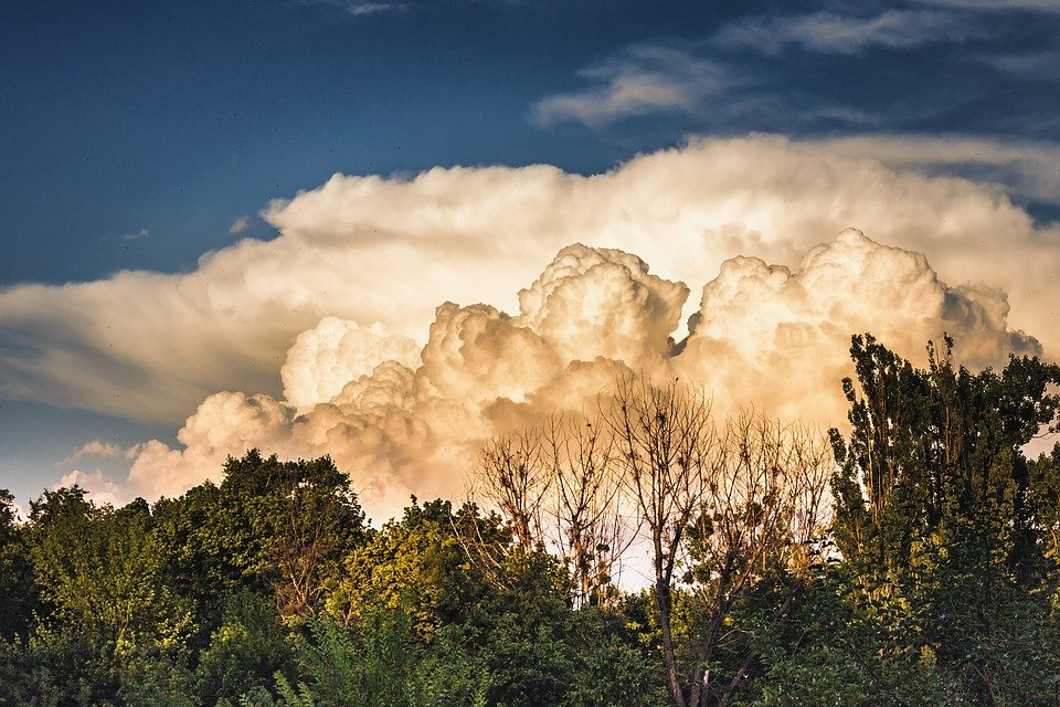 Грозы и дожди с жарой: погода в Сыктывкаре на 16 июля