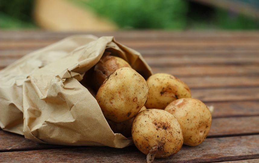 За неделю в Коми подорожали яйца и другие продукты