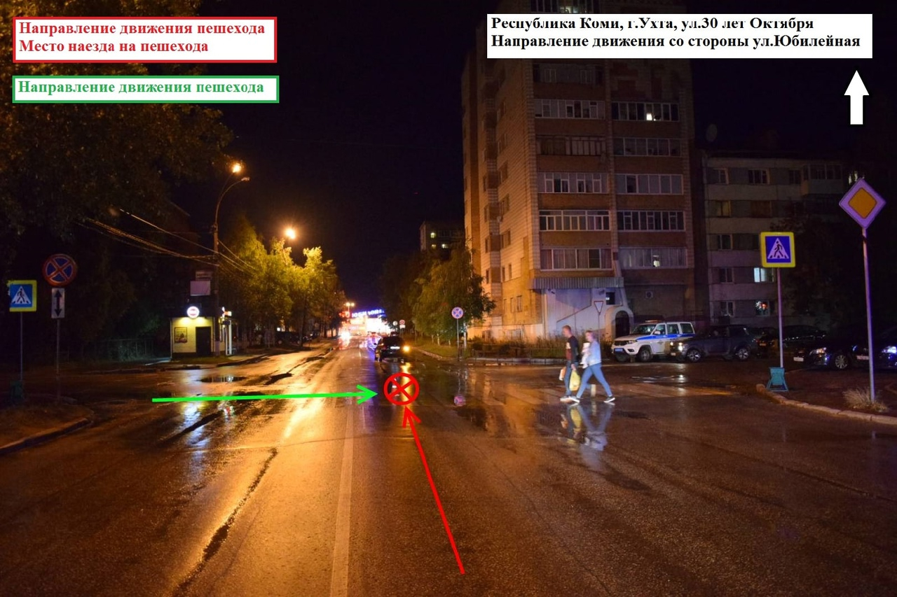 В Коми водитель наехал на собаку, которую по поводке выгуливала хозяйка