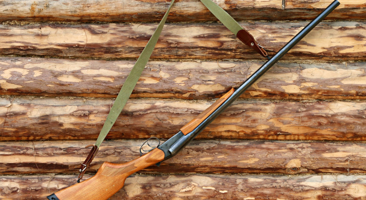 За неделю в Коми изъяли 14 единиц оружия