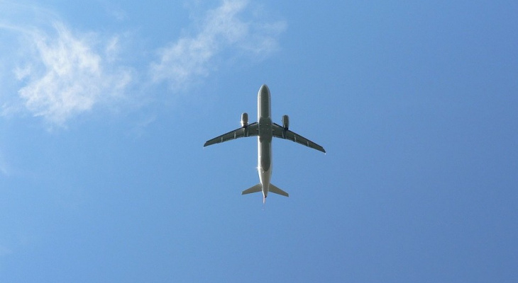 В России снимают ограничения на полеты еще для трех стран