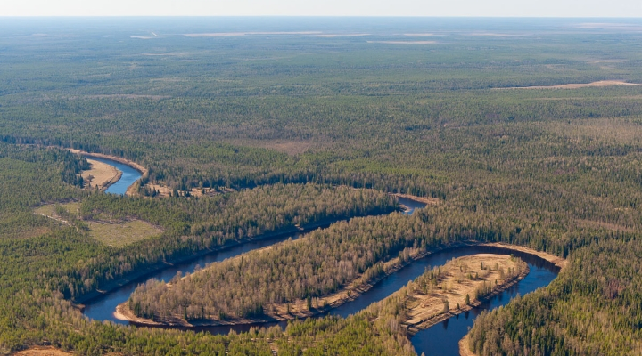 Золотая середина: в Коми выяснили, где находится самый центр республики