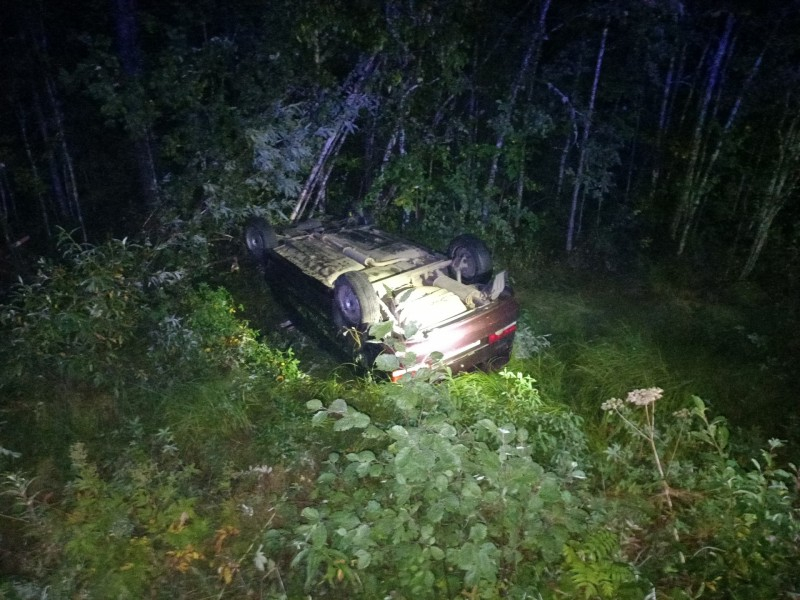 В Коми произошло смертельное ДТП: погибла лошадь