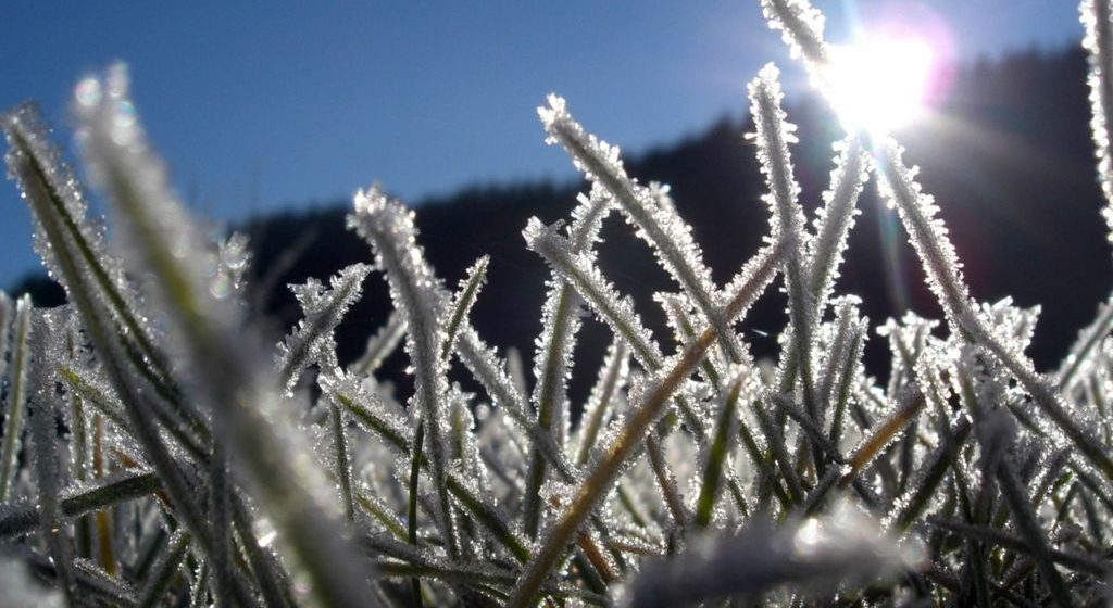Ночные холода: погода в Сыктывкаре на 28 августа