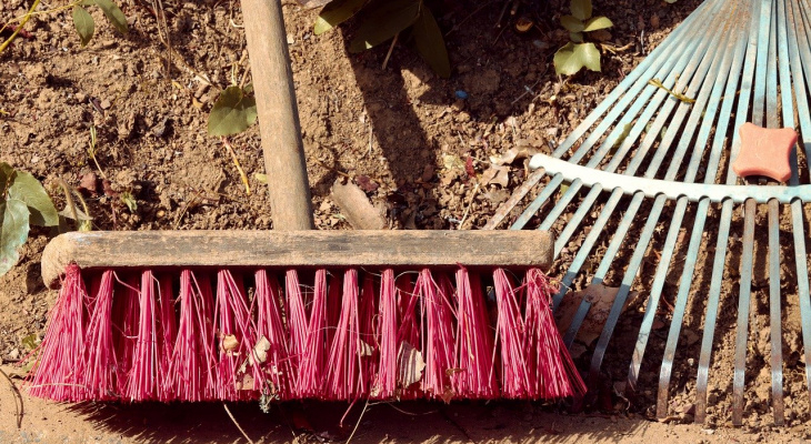 Убийце добермана из Сыктывкара «накинули» еще 100 часов обязательных работ