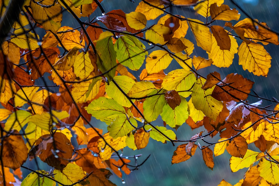 Погода в Сыктывкаре на 7 сентября