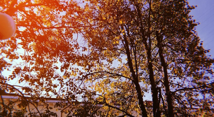 Холода и дожди: погода в Сыктывкаре на 8 сентября