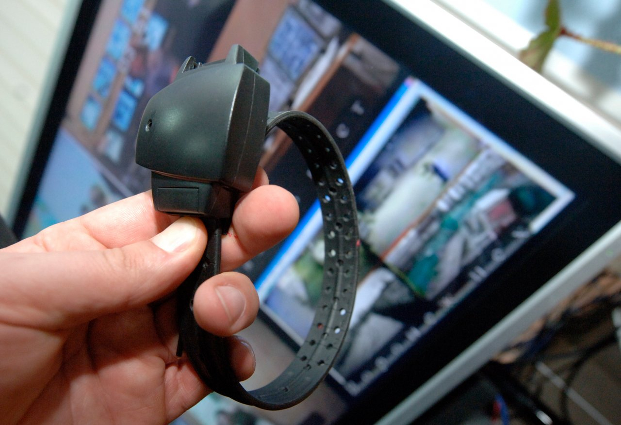 В Госдуме обсудят идею электронных браслетов для педофилов