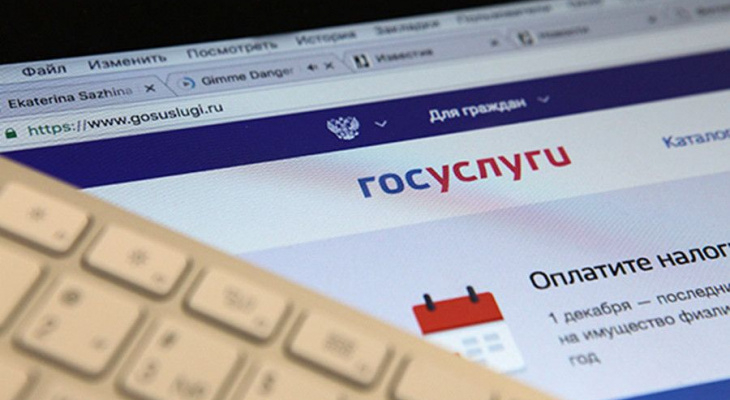 Мошенники придумали кражи данных с сайта госуслуг