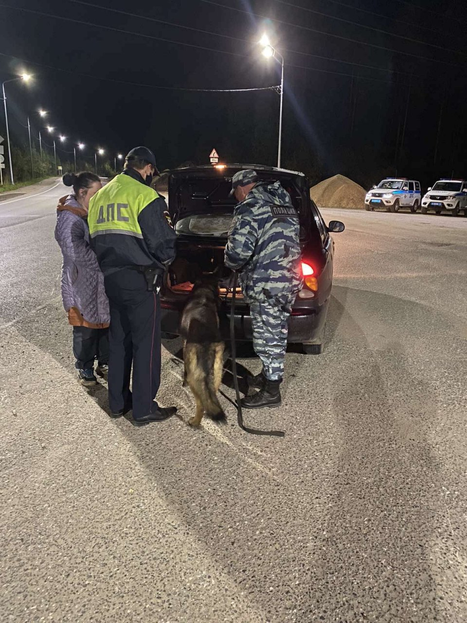 Сотрудники ГИБДД поймали в Сыктывкаре шесть пьяных водителей