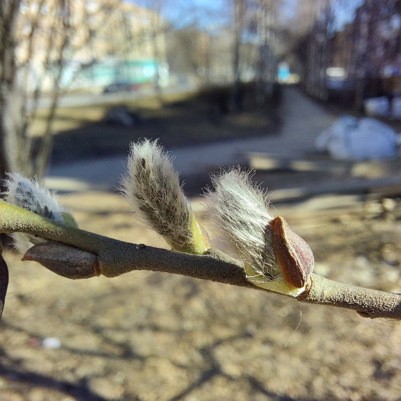 У Дев обострится интуиция, а Тельцов ждут развлечения: гороскоп на 29 сентября
