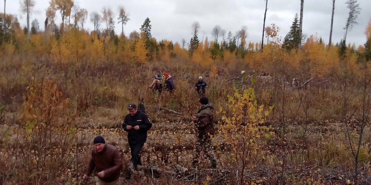 Житель Коми слетел с катушек и три дня бегал по лесу без штанов