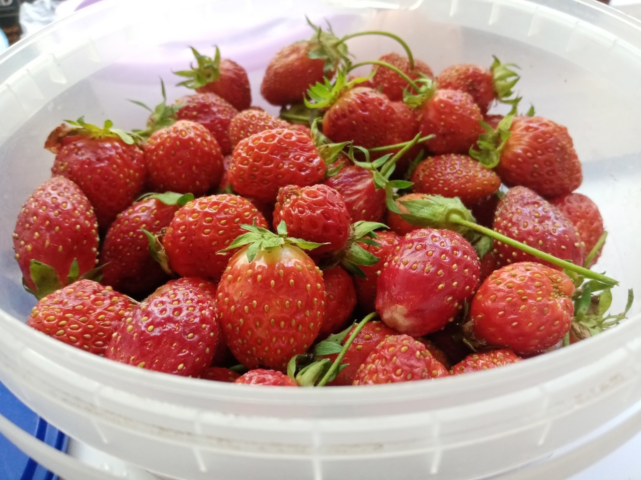 Какие продукты укрепят иммунитет ребенка: советы Роспотребнадзора Коми